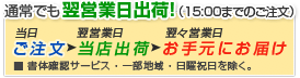 通常でも翌営業日出荷