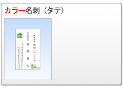 カラー名刺（タテ）